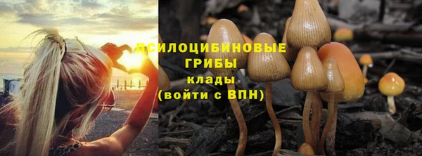 стафф Пестово