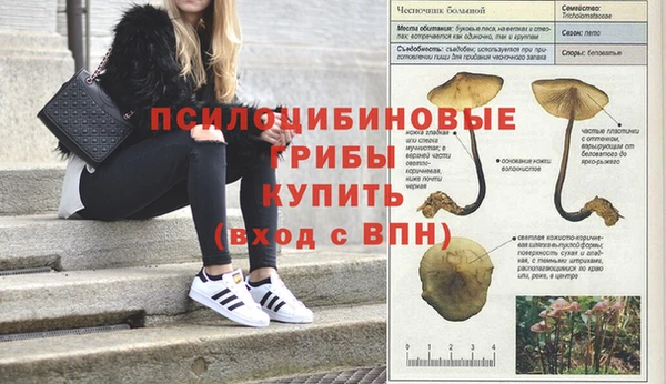 стафф Пестово