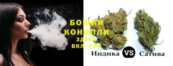 дурь Пересвет