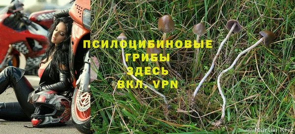 стафф Пестово