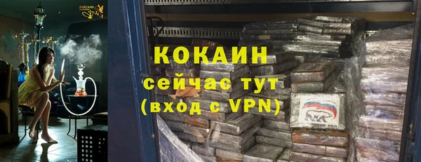 дурь Пересвет