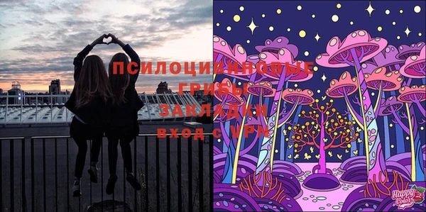стафф Пестово