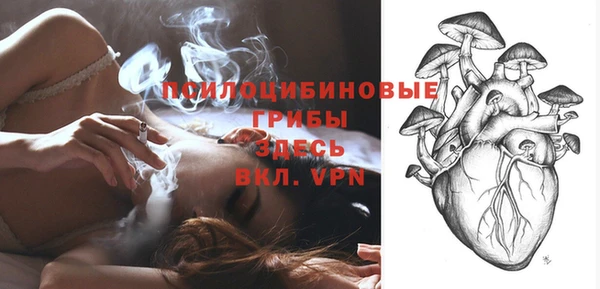 стафф Пестово