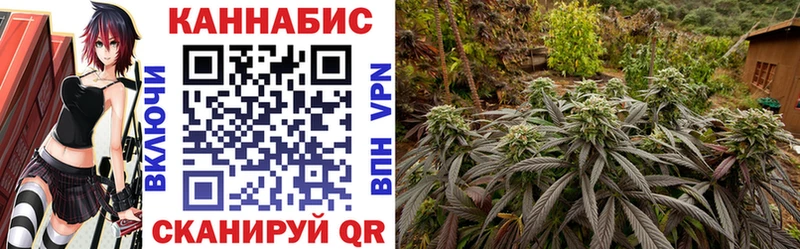 Канабис Amnesia  цены наркотик  Березники 